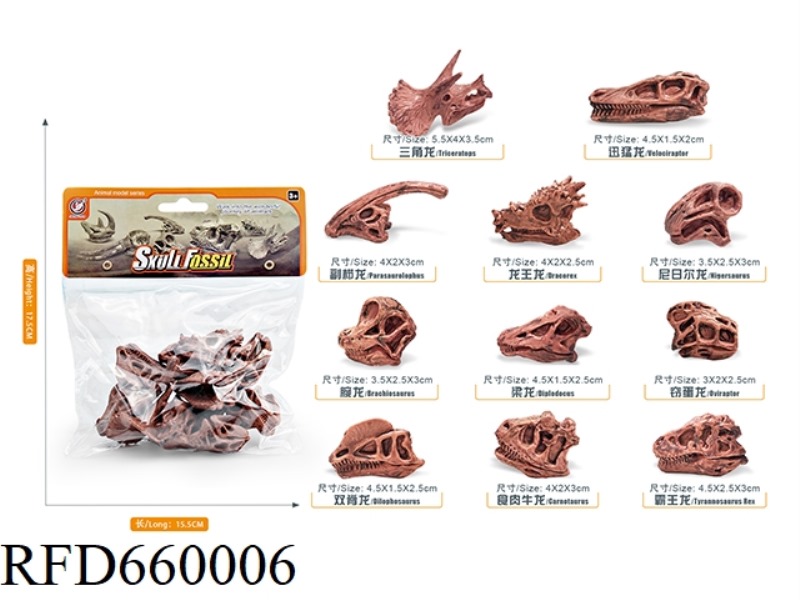 DINOSAUR SKULL SET