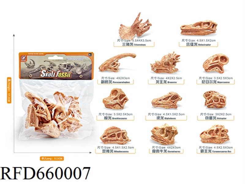 DINOSAUR SKULL SET