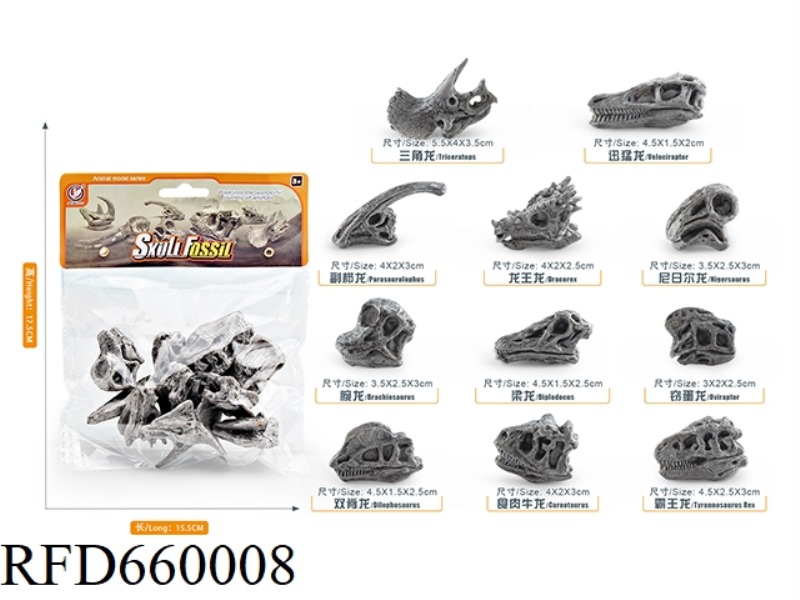 DINOSAUR SKULL SET