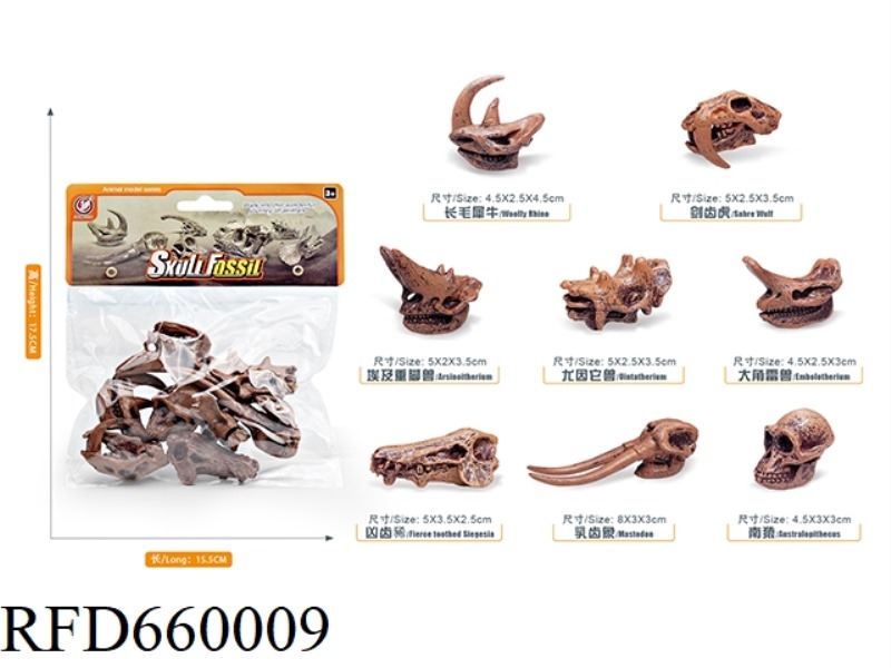 PREHISTORIC ANIMAL SKULL SET