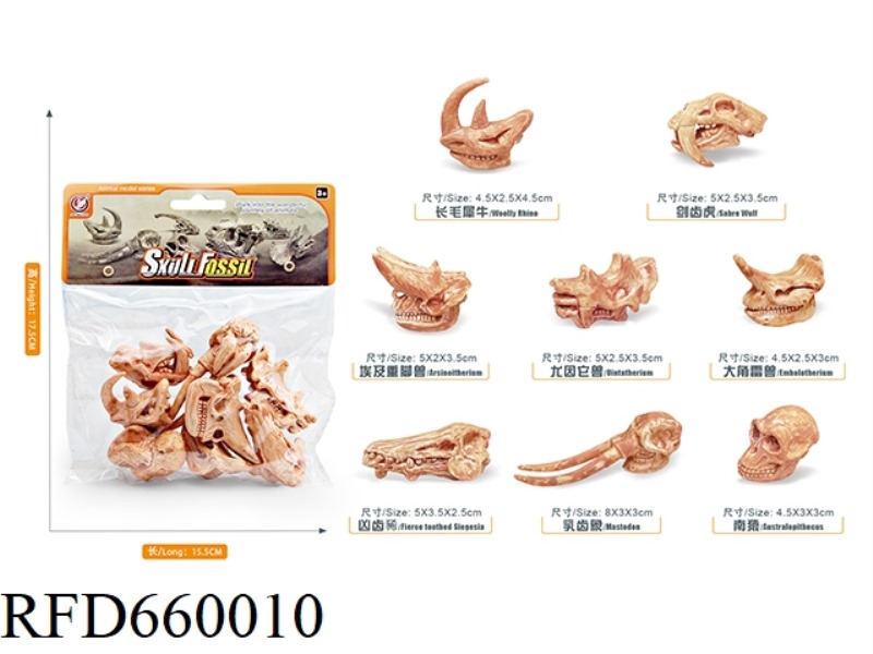 PREHISTORIC ANIMAL SKULL SET