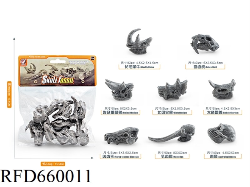 PREHISTORIC ANIMAL SKULL SET