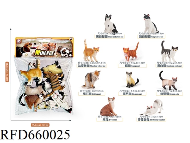 NEW KITTEN SET