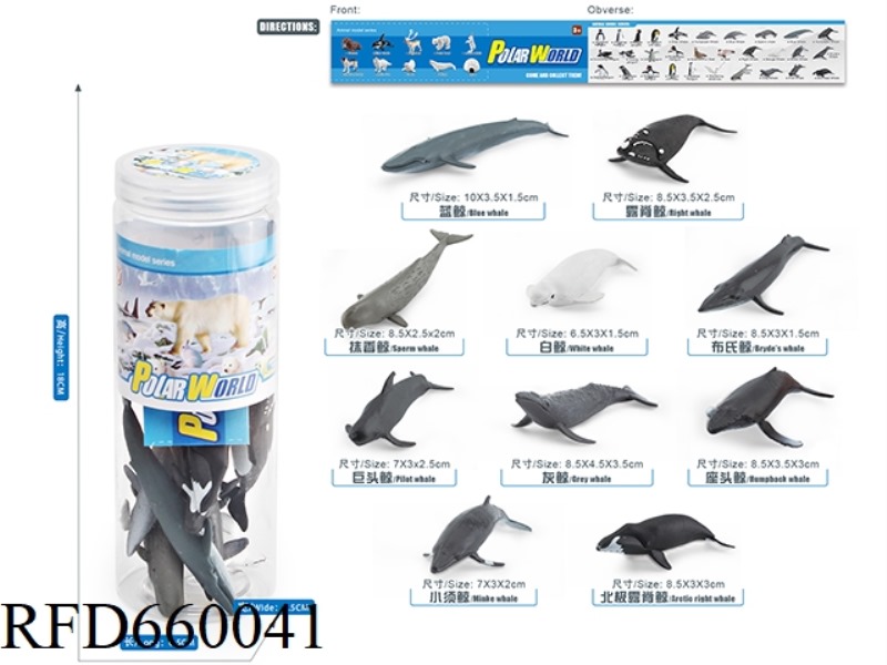 WHALE SUIT