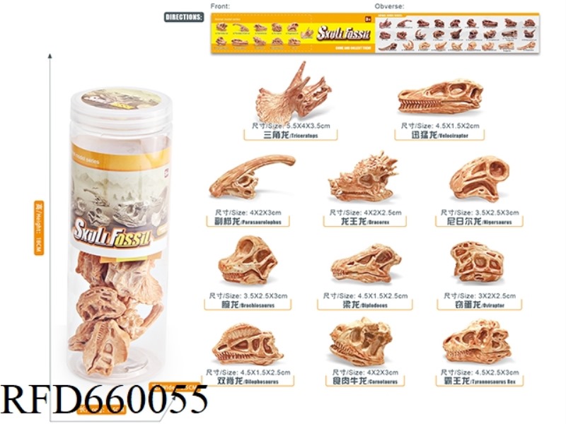 DINOSAUR SKULL SET
