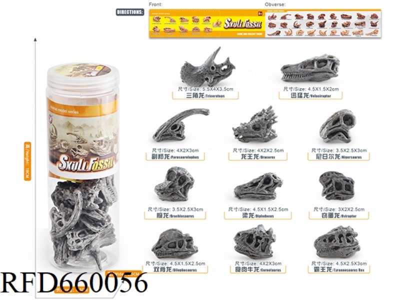 DINOSAUR SKULL SET