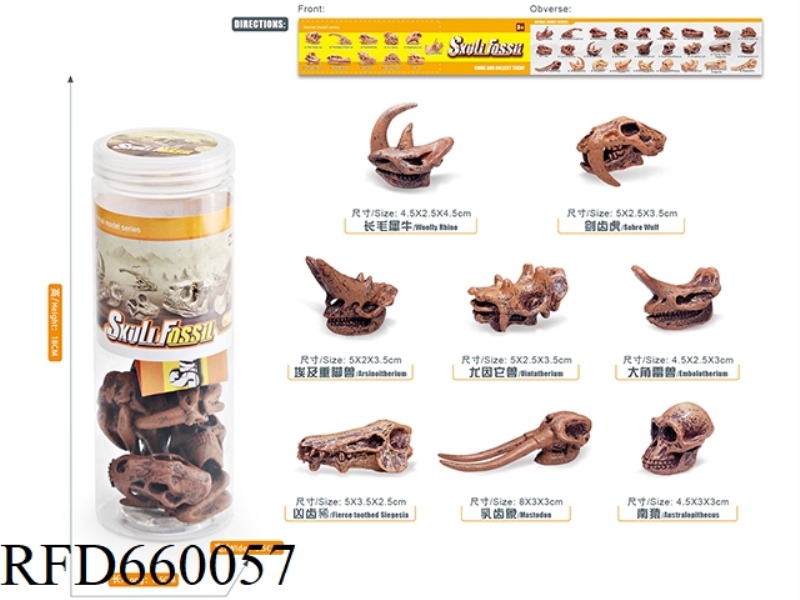 PREHISTORIC ANIMAL SKULL SET