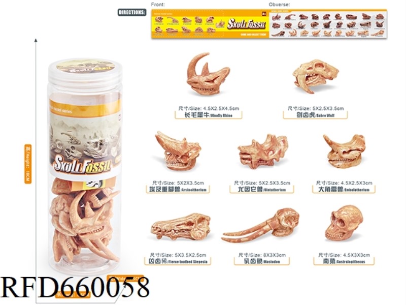 PREHISTORIC ANIMAL SKULL SET