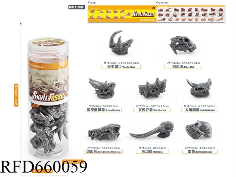PREHISTORIC ANIMAL SKULL SET
