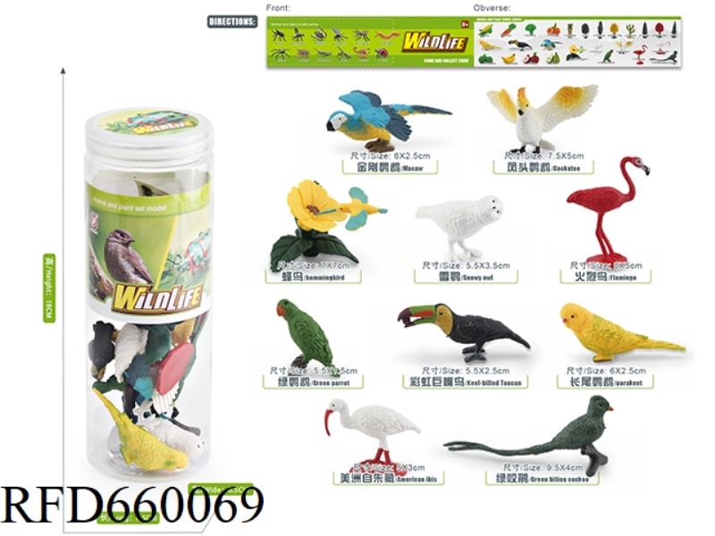MINI BIRD SET