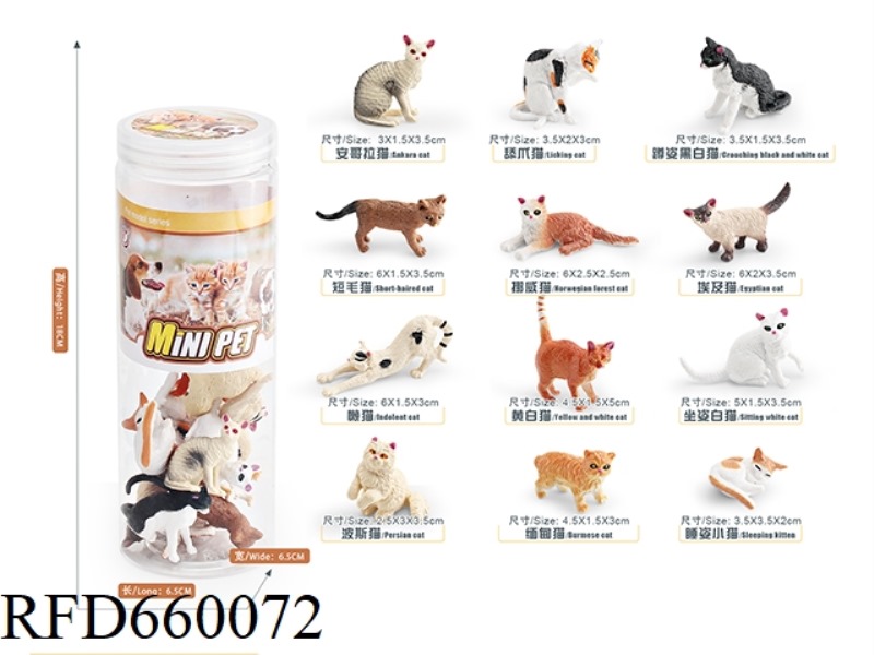 KITTEN SET