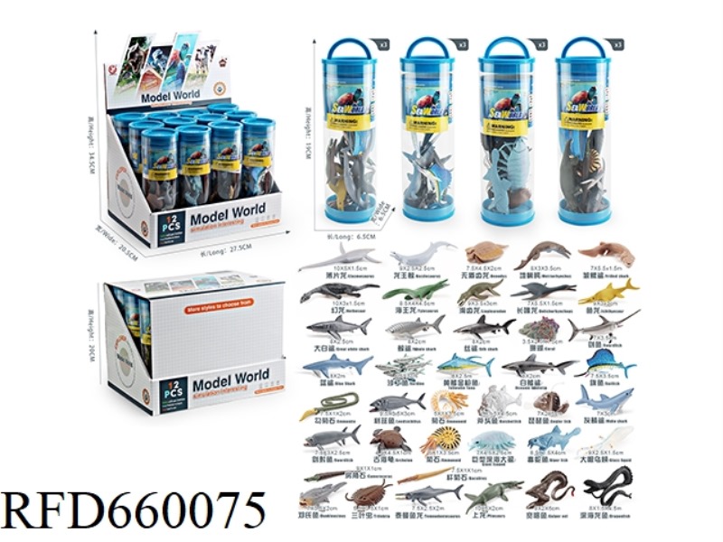 12 CAN OCEAN SET