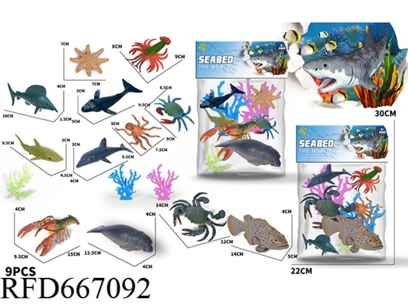 OCEAN SET 9 PIECES