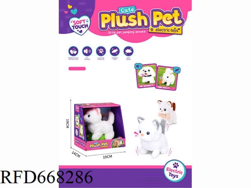CUTE PET SINGLE DISPLAY BOX (KITTEN)