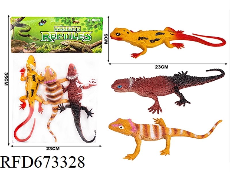 LIZARD