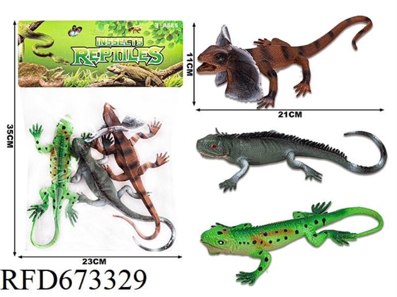 LIZARD