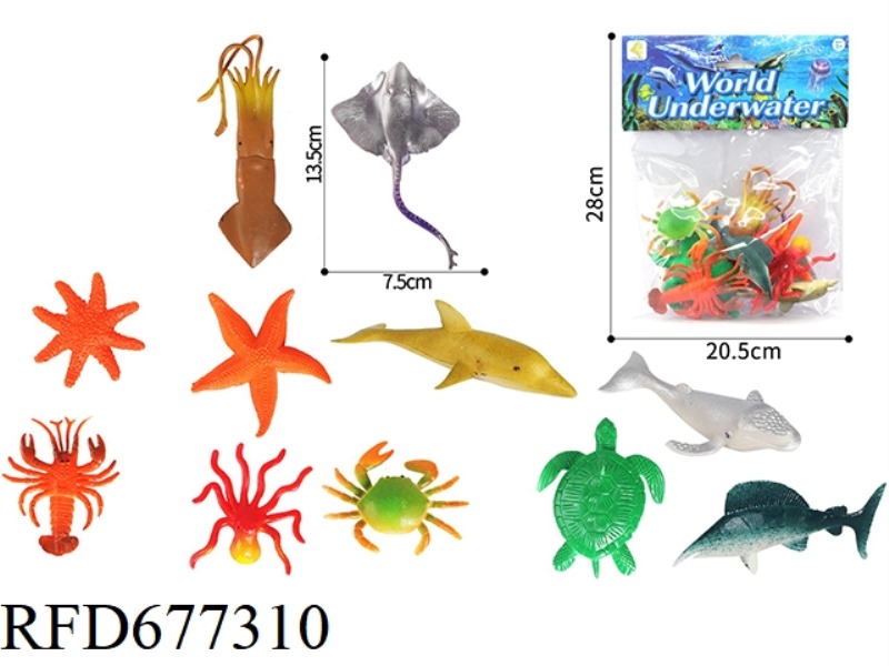 TWELVE SOLID OCEANS