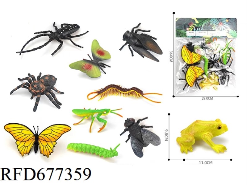 TEN INSECTS