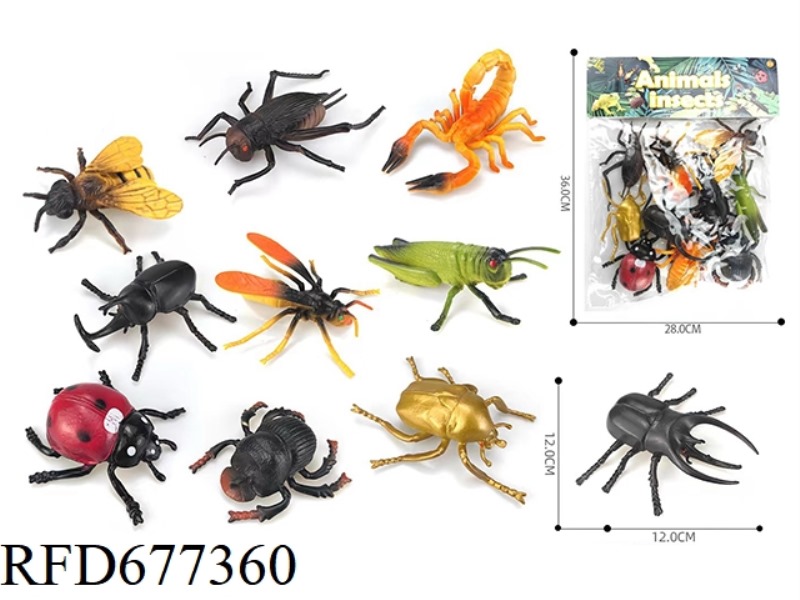 TEN INSECTS