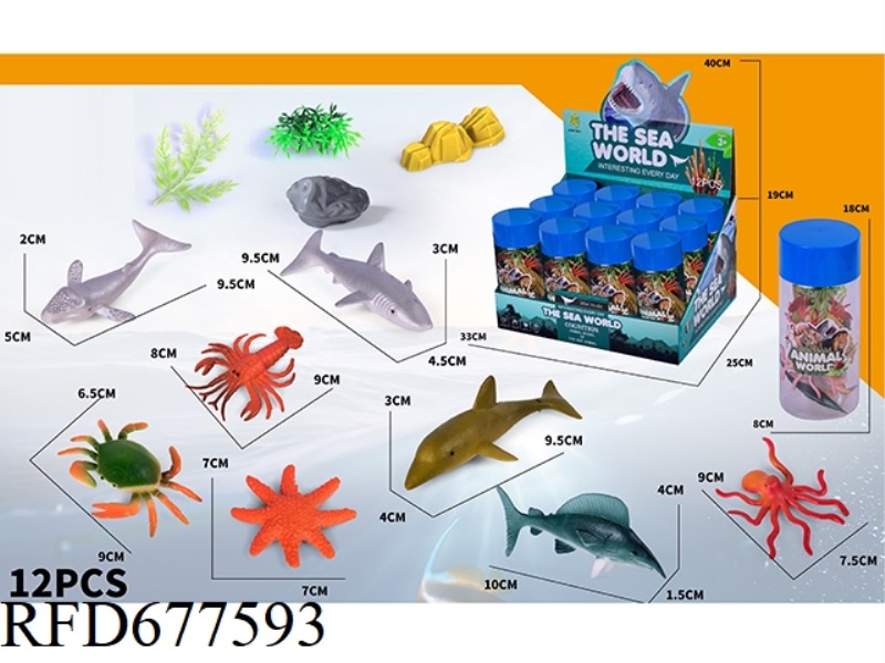 OCEAN SET 12 TUBES PER BOX