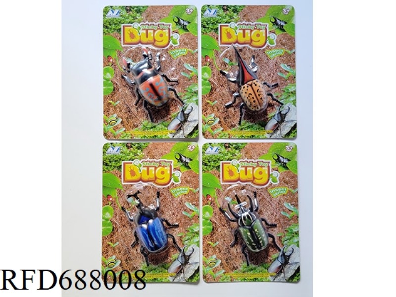 FOUR TYPES OF WALL-CLIMBING LARGE BEETLES