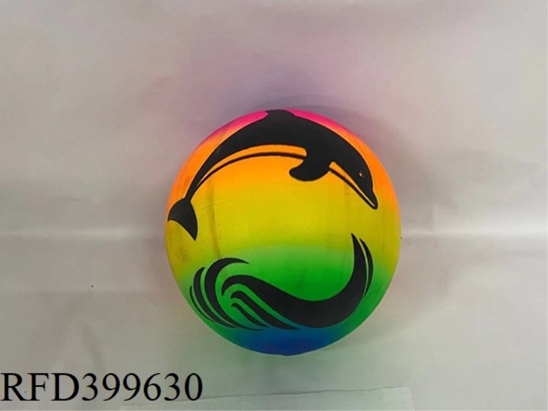 24CM REHEARSAL BALL (DOLPHIN)