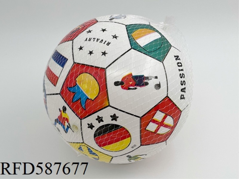 9-INCH EUROPEAN CUP COLOR PRINTING BALL