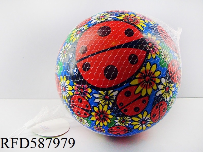 9-INCH INSECTS AND FLOWERS ALL PRINTED BALLS