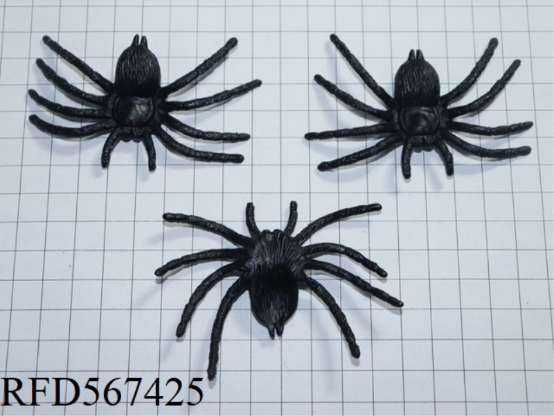BIG SPIDER WITH FLAT BELLY