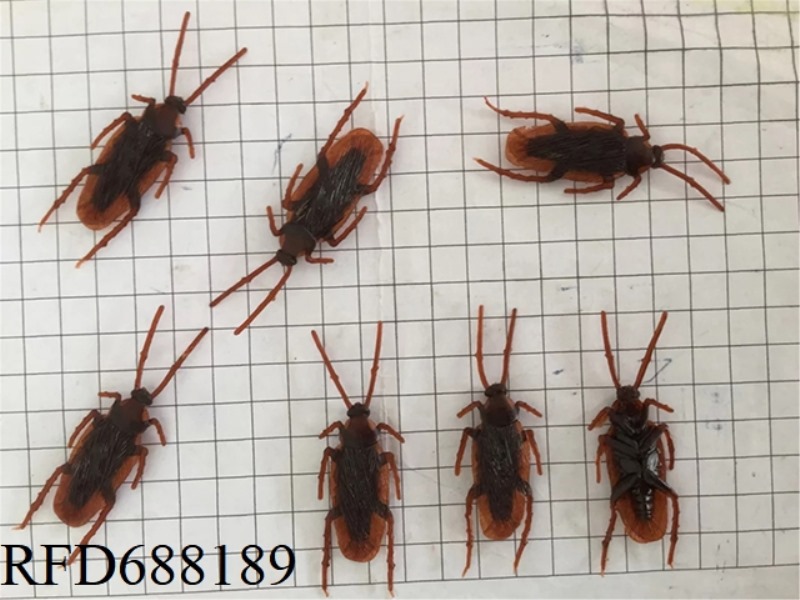 COCKROACH
