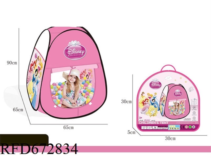 CHILDREN'S DISNEY PRINCESS TENT