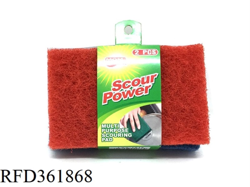 SCOURING PAD