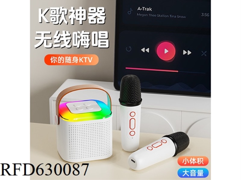 BLUETOOTH MICROPHONE WIRELESS MICROPHONE (DOUBLE MARK)