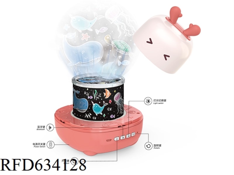BLUETOOTH STAR LIGHT (RECHARGEABLE)