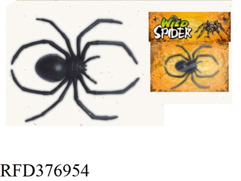 BLACK WIDOW SPIDER