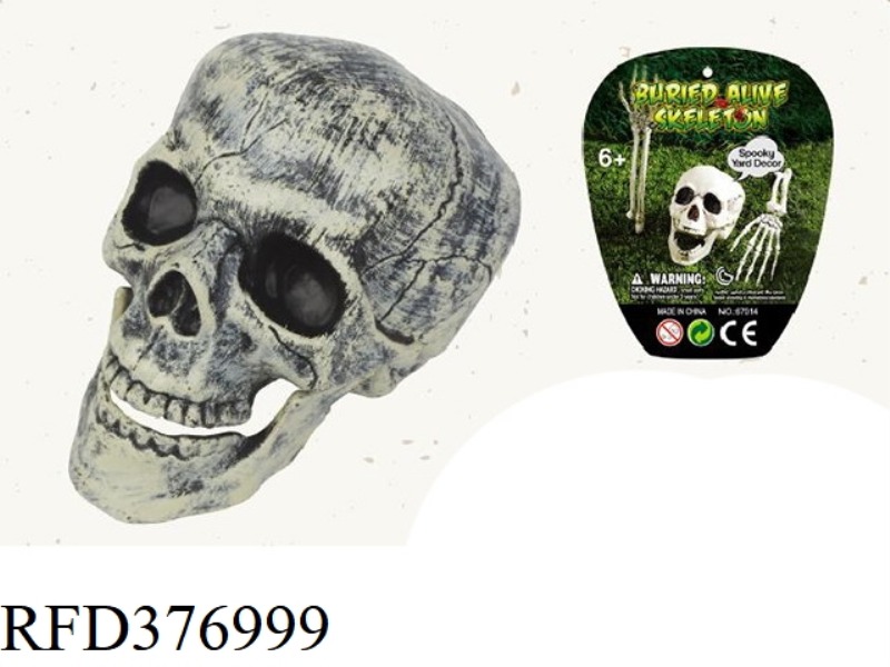 1:1 SKULL