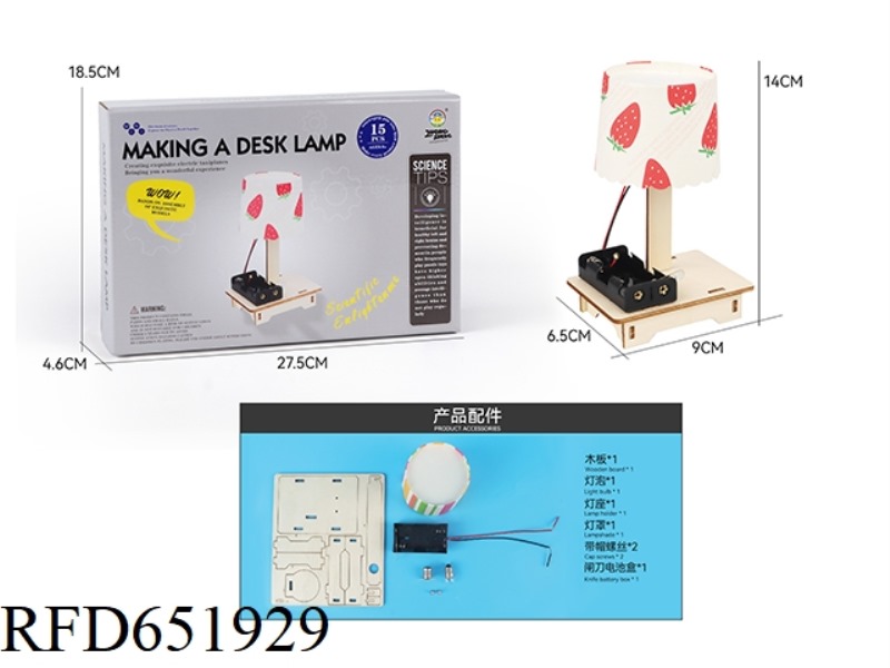 WOOD SCIENCE AND EDUCATION EXPERIMENT - SELF-MADE LAMP (15PCS)