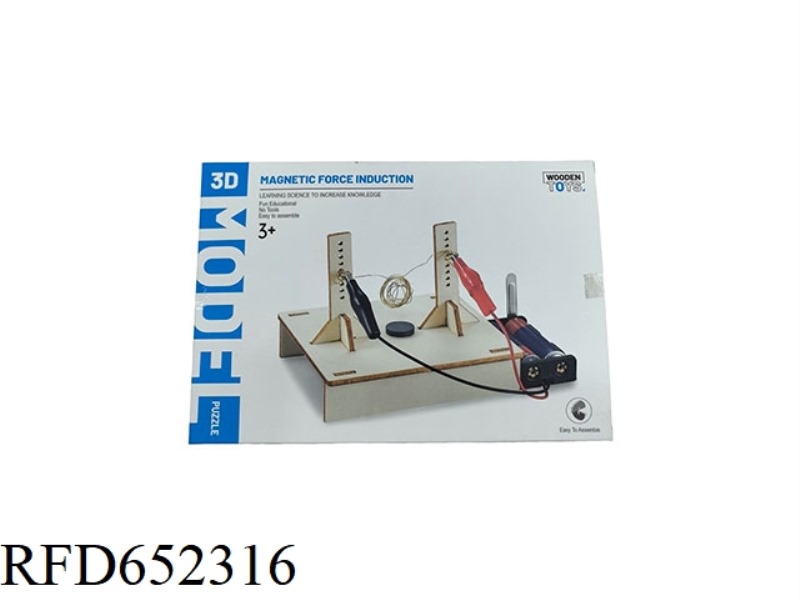 MAGNETIC INDUCTION DEVICE