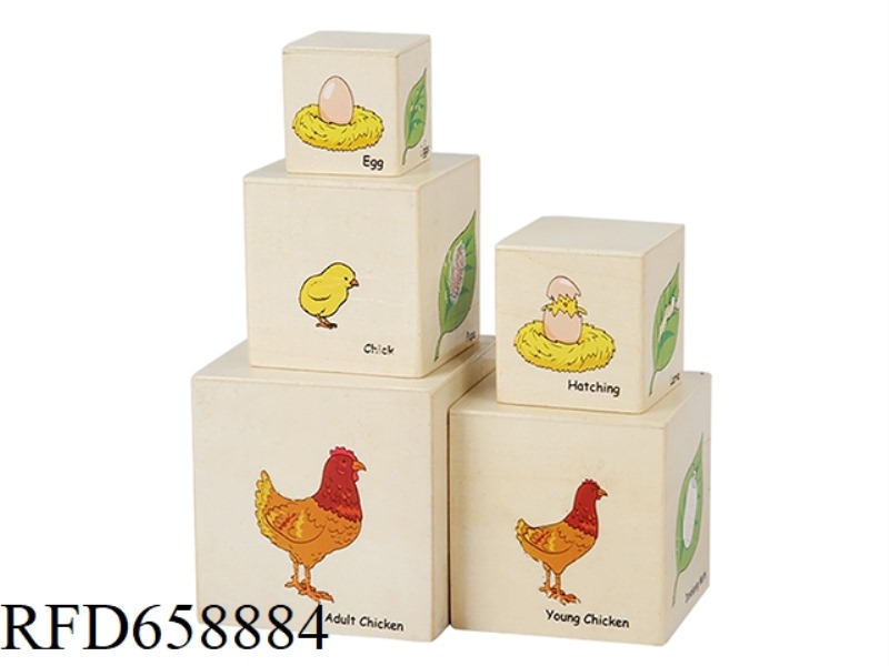 WOODEN GROWING PROCESS BOX