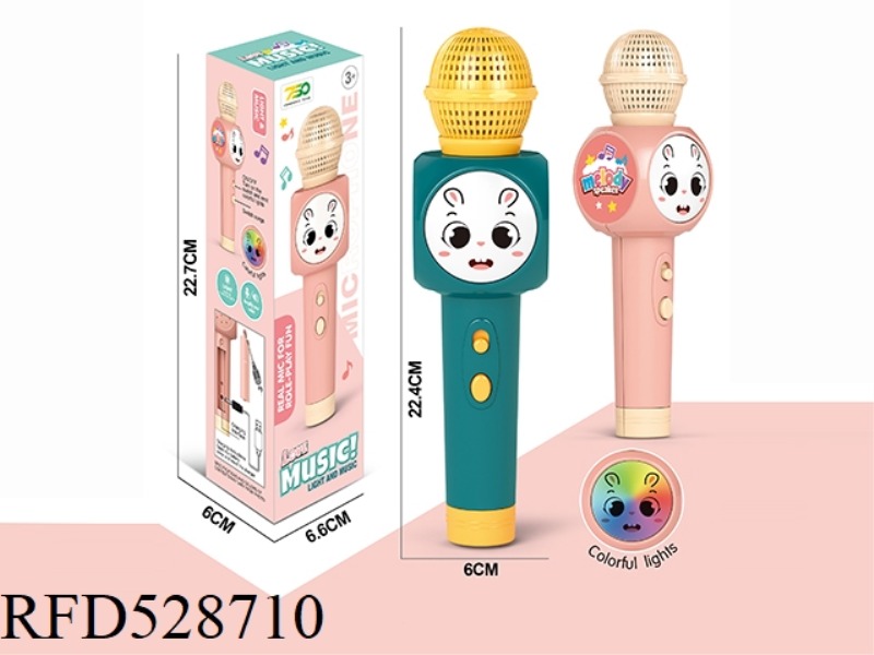 MICROPHONE (MUSIC, LIGHTING, POWER AMPLIFIER)