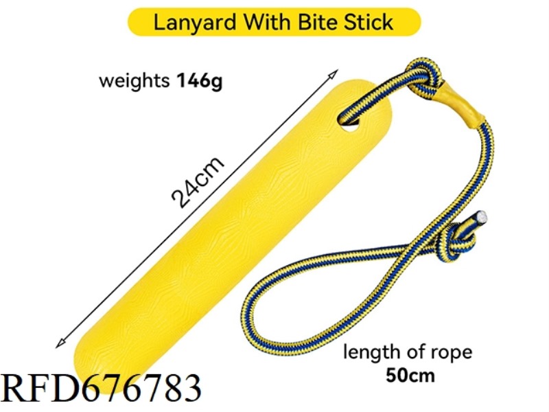 THE PET DOG BITES THE STICK WITH A LEASH