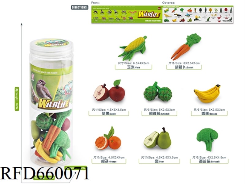 FRUIT AND VEGETABLE SET