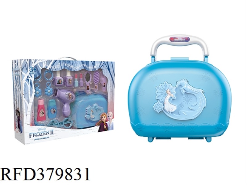 SMALL HANDBAG (ICE AND SNOW MAKEUP)