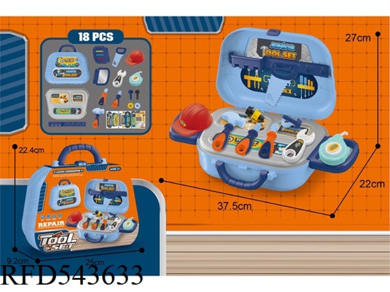 CARRYING CASE MINI TOOL SET