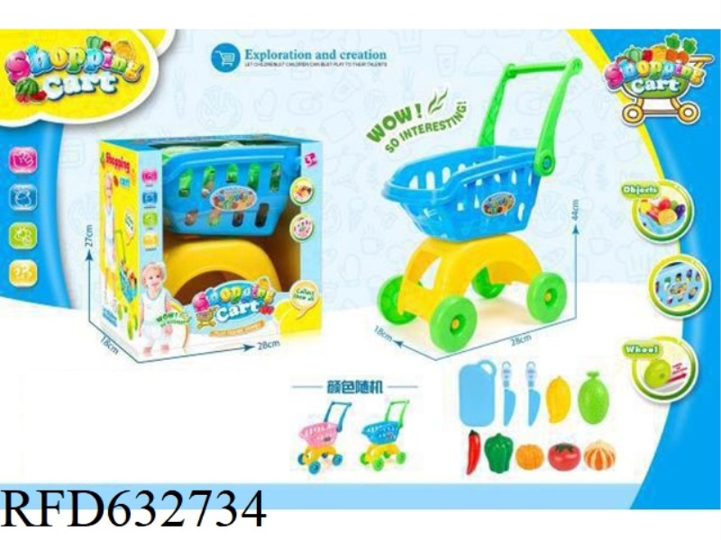CHILDREN'S EXPERIENCE SHOPPING CART AFTER FAMILY.