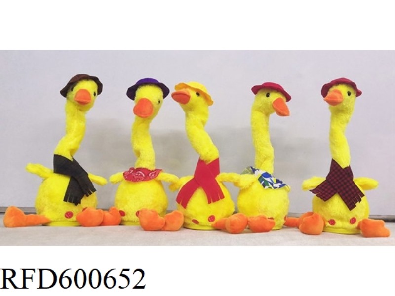 INTERNET CELEBRITIES, ELECTRIC RECORDING, MUSIC, LIGHTING, PUPPET DUCK, CACTUS SERIES, RECHARGED VER